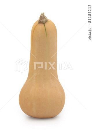 バターナッツかぼちゃ（白バック） 81185212