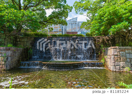 春日井市都市緑化植物園、愛称はグリーンピア春日井〈愛知県春日井市〉 春日井市都市緑化植物園、愛称はグリーンピア春日井〈愛知県春日井市〉 81185224