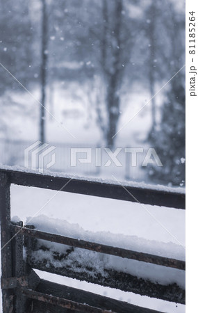 Fresh snow on the metal balcony railing 81185264