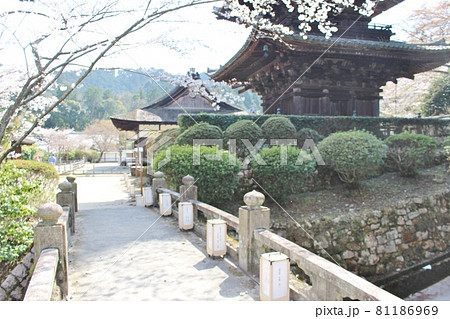 三井寺の唐院 81186969