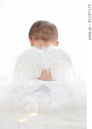 白い羽の赤ちゃん天使 白い羽の赤ちゃん天使 81187174