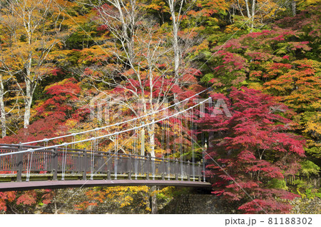 彩に架かる橋 81188302