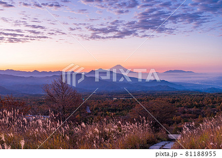 （山梨県）清里・美し森展望台から、富士山遠望 81188955