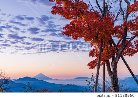 （山梨県）清里・美し森展望台から、富士山遠望 81188960