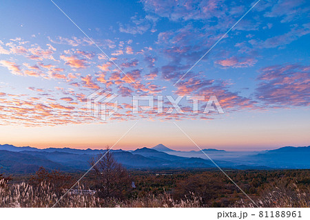 （山梨県）清里・美し森展望台から、富士山遠望 81188961
