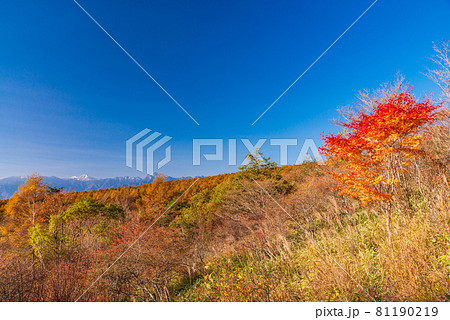 （山梨県）清里・美し森から眺める、南アルプス 81190219