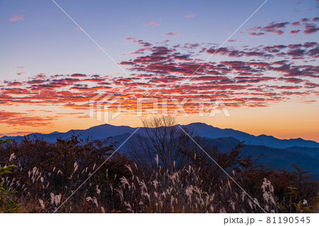 (山梨県)清里・美し森から見る 秩父の山並みと夜明けの空 (山梨県)清里・美し森から見る 秩父の山並みと夜明けの空 81190545
