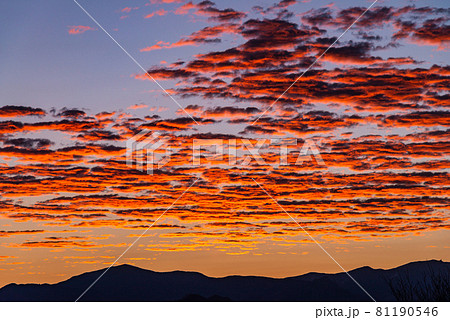 （山梨県）清里・美し森から見る　秩父の山並みと夜明けの空 81190546
