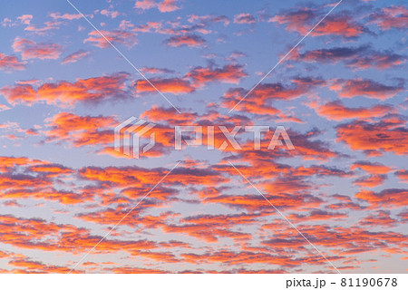 オレンジ色に染まる 夜明けの空 鱗雲 イメージの写真素材