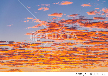 オレンジ色に染まる 夜明けの空 鱗雲 イメージの写真素材