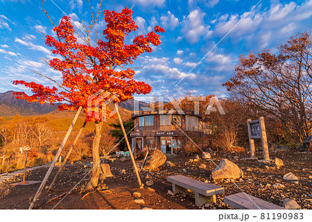 （山梨県）清里・美し森展望台の紅葉 81190983