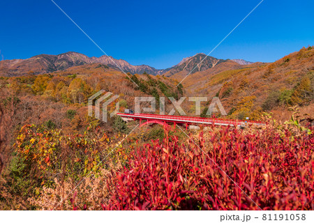 【山梨県】清里の東沢大橋展望台 紅葉 【山梨県】清里の東沢大橋展望台 紅葉 81191058