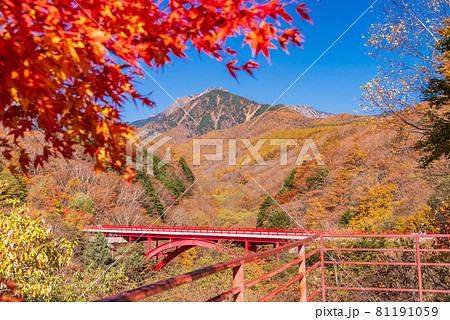 【山梨県】清里の東沢大橋展望台 紅葉 【山梨県】清里の東沢大橋展望台 紅葉 81191059