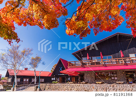 （山梨県）清里の清泉寮　秋 81191368