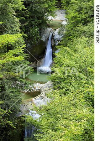 尾白川渓谷　神蛇滝 81192396