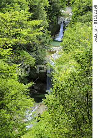 尾白川渓谷 神蛇滝 尾白川渓谷 神蛇滝 81192399