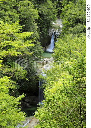 尾白川渓谷　神蛇滝 81192400
