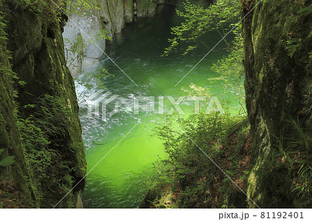 尾白川渓谷 百合ヶ淵 尾白川渓谷 百合ヶ淵 81192401