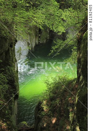 尾白川渓谷 百合ヶ淵 尾白川渓谷 百合ヶ淵 81192405