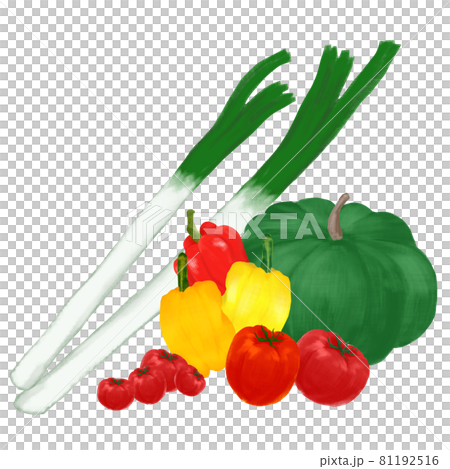 緑黄色野菜の盛り合わせイラストセット 手描き 緑黄色野菜の盛り合わせイラストセット 手描き 81192516