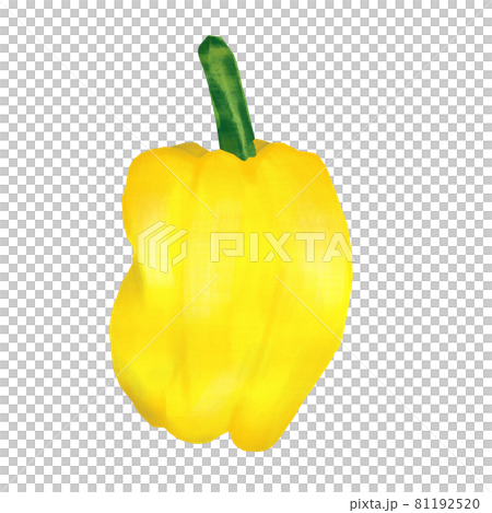 黃色辣椒粉手繪插圖 黃色辣椒粉手繪插圖 81192520