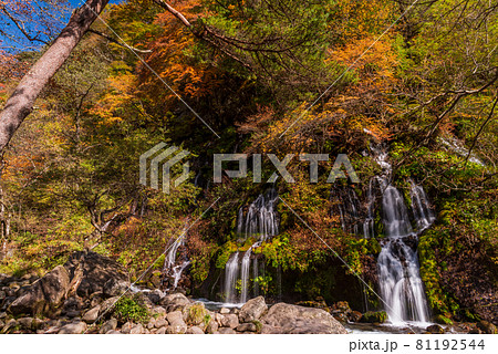 （山梨県）吐竜の滝（どりゅうのたき）　紅葉 81192544
