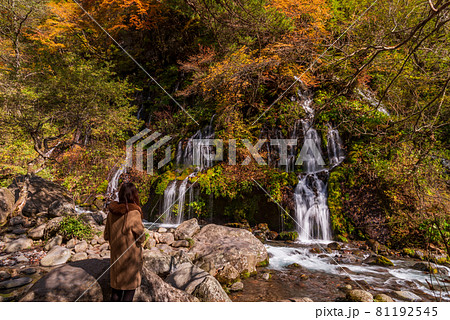 （山梨県）吐竜の滝（どりゅうのたき）　紅葉 81192545