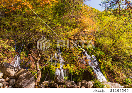 （山梨県）吐竜の滝（どりゅうのたき）　紅葉 81192546