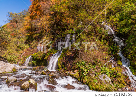（山梨県）吐竜の滝（どりゅうのたき）　紅葉 81192550