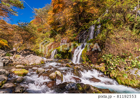 （山梨県）吐竜の滝（どりゅうのたき）　紅葉 81192553
