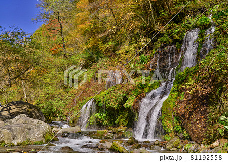 （山梨県）吐竜の滝（どりゅうのたき）　紅葉 81192558