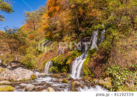 （山梨県）吐竜の滝（どりゅうのたき）　紅葉 81192559