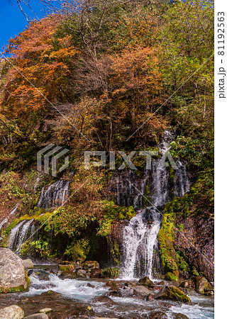 (山梨県)吐竜の滝(どりゅうのたき) 紅葉 (山梨県)吐竜の滝(どりゅうのたき) 紅葉 81192563