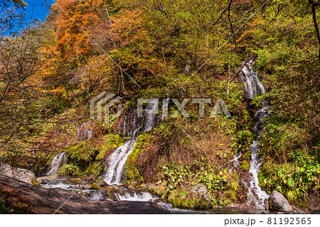 （山梨県）吐竜の滝（どりゅうのたき）　紅葉 81192565