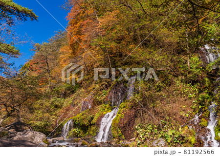 （山梨県）吐竜の滝（どりゅうのたき）　紅葉 81192566