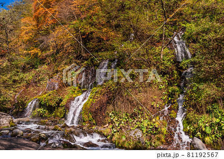 （山梨県）吐竜の滝（どりゅうのたき）　紅葉 81192567
