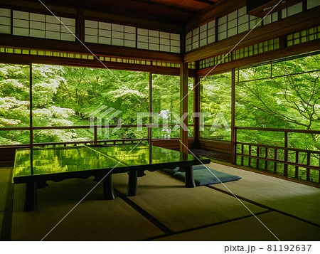 瑠璃光院の写経机と青紅葉 81192637