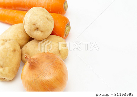 カレーの具材　白バック 81193995