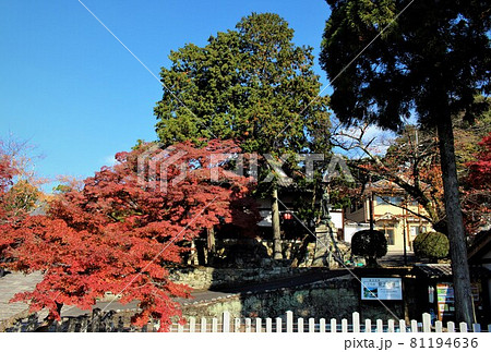 金戒光明寺・紅葉 金戒光明寺・紅葉 81194636