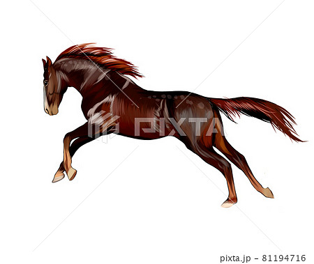 Horse running at a gallop from splash of watercolors, colored drawing, realistic Horse running at a gallop from splash of watercolors, colored drawing, realistic 81194716