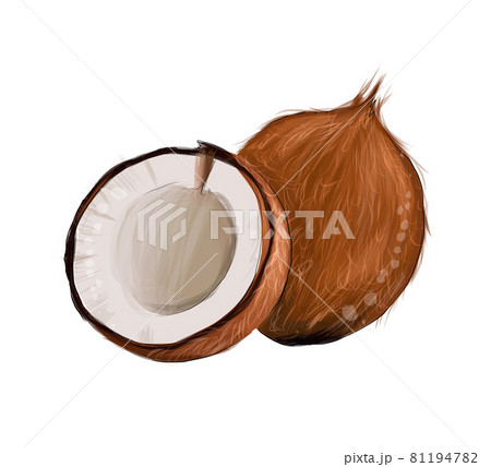 Set of whole coconut, coconut halves from splash of watercolors, colored drawing, realistic Set of whole coconut, coconut halves from splash of watercolors, colored drawing, realistic 81194782