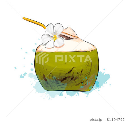 Fresh coconut tropical cocktail with straws from splash of watercolors, colored drawing, realistic Fresh coconut tropical cocktail with straws from splash of watercolors, colored drawing, realistic 81194792