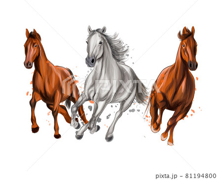 Three horses run gallop from splash of watercolors, colored drawing, realistic Three horses run gallop from splash of watercolors, colored drawing, realistic 81194800