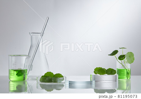 Skincare products and drugs chemical researches concept of centella asiatica 81195073