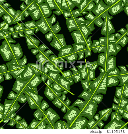 Decorative seamless pattern with random green tropic banana leaf shapes. Dark background. Simple print. Decorative seamless pattern with random green tropic banana leaf shapes. Dark background. Simple print. 81195178