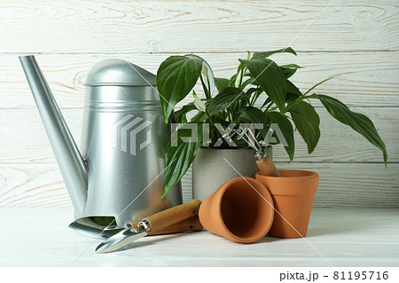 Concept of gardening on white wooden background 81195716
