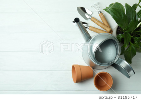 Concept of gardening on white wooden background 81195717