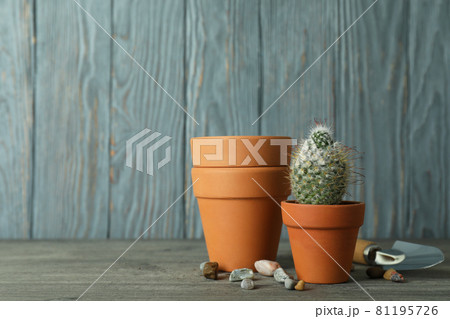 Concept of gardening against gray wooden background Concept of gardening against gray wooden background 81195726
