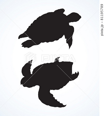 Turtle. Vector drawing Turtle. Vector drawing 81195789