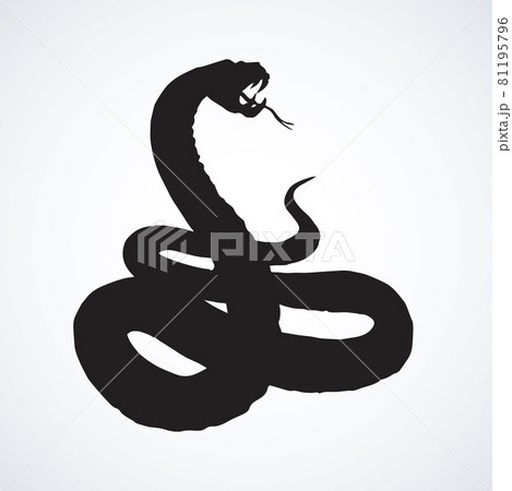 Snake Vector Drawingのイラスト素材